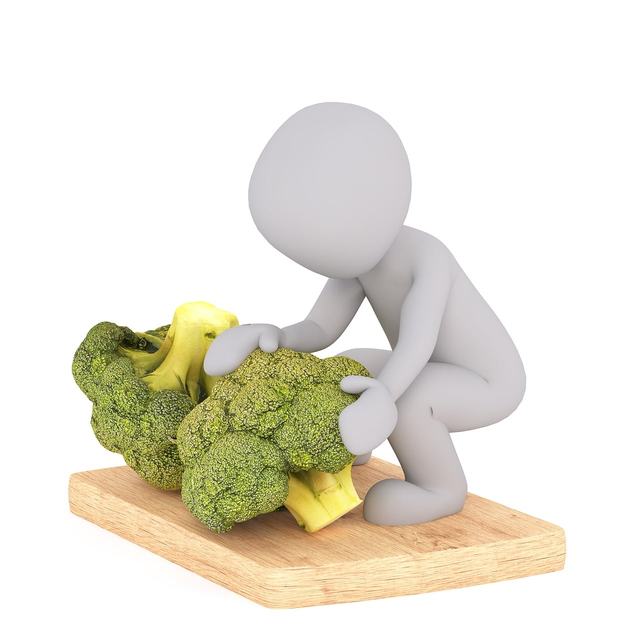 网站9.·1免费版安装安卓版二维码