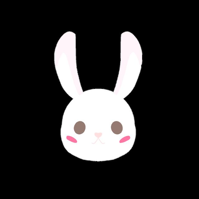 子轩