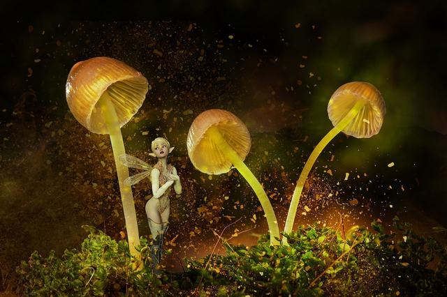 免费的海角社区黄色视频-免费的海角社区黄色视频最新appv.70安卓版_letempt安卓网截图