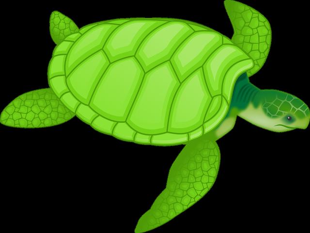 海角原版视频在线观看www官方版免费下载-海角原版视频在线观看www官方正版vv24安卓版_letempt安卓网