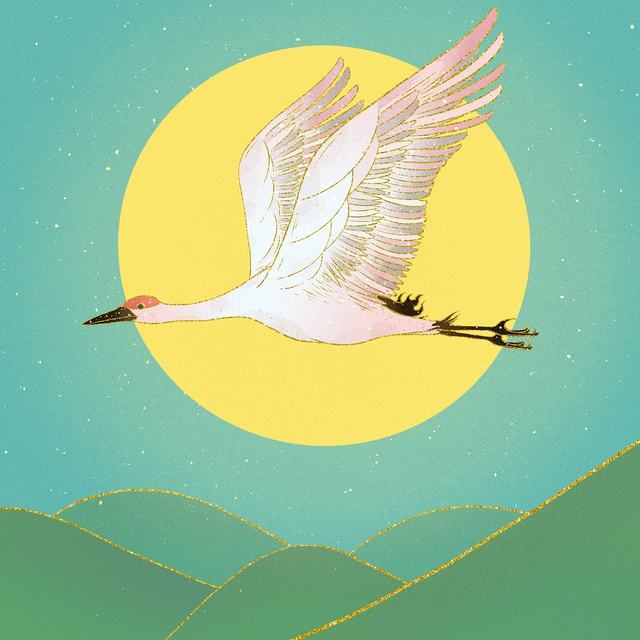 怎么2025就过完了