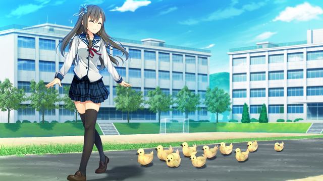 蜂鸟电竞网页版入口