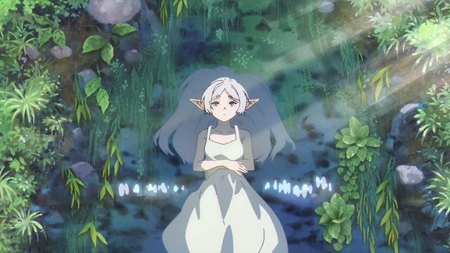 2026年全国水生生物同步增殖放流超5亿尾