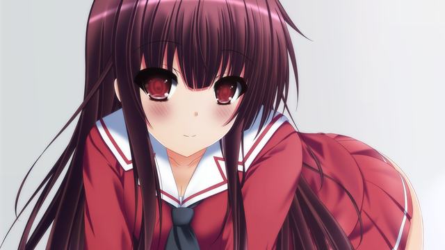 口袋女神plus