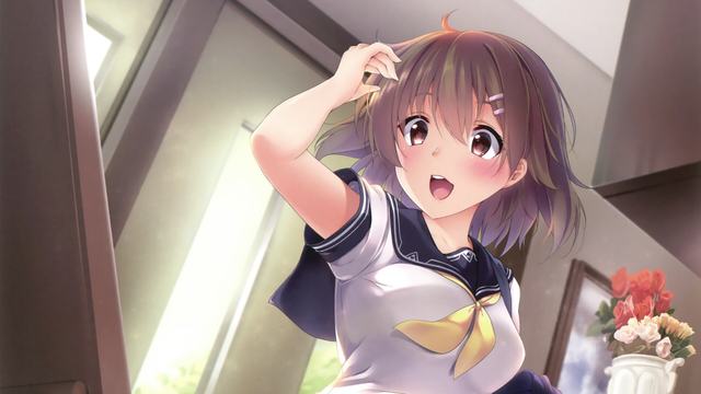 ky体育app官方