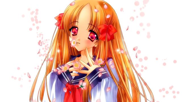 三国志11威力加强版