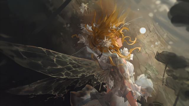 梦之花