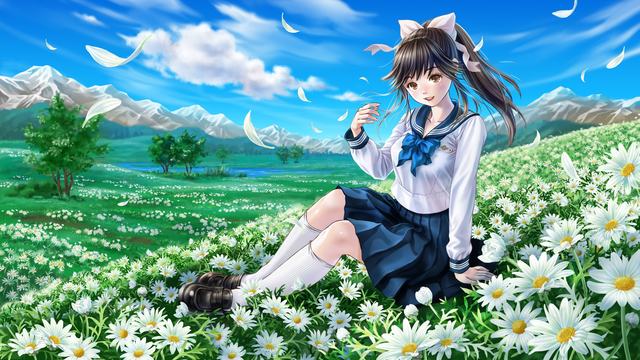梦之花