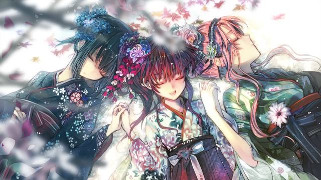 倾听，莲花盛开的声音