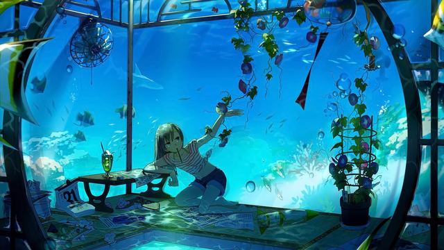 梦之花