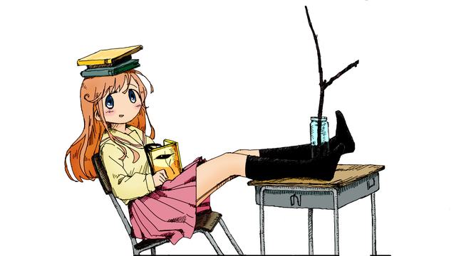 梦之花