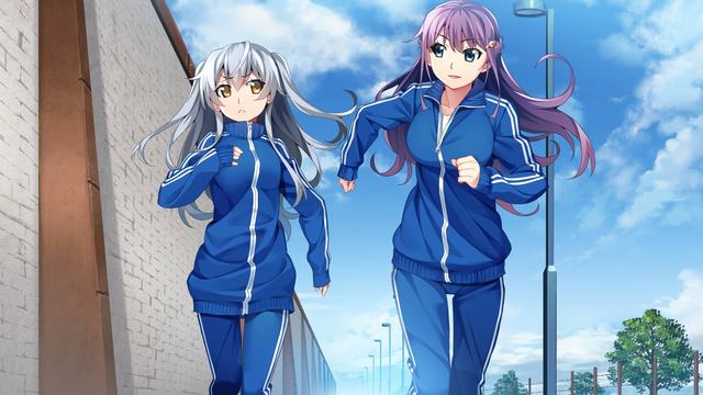 属性与生活2破解版
